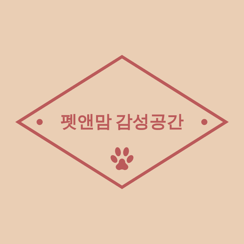 블로그 이미지