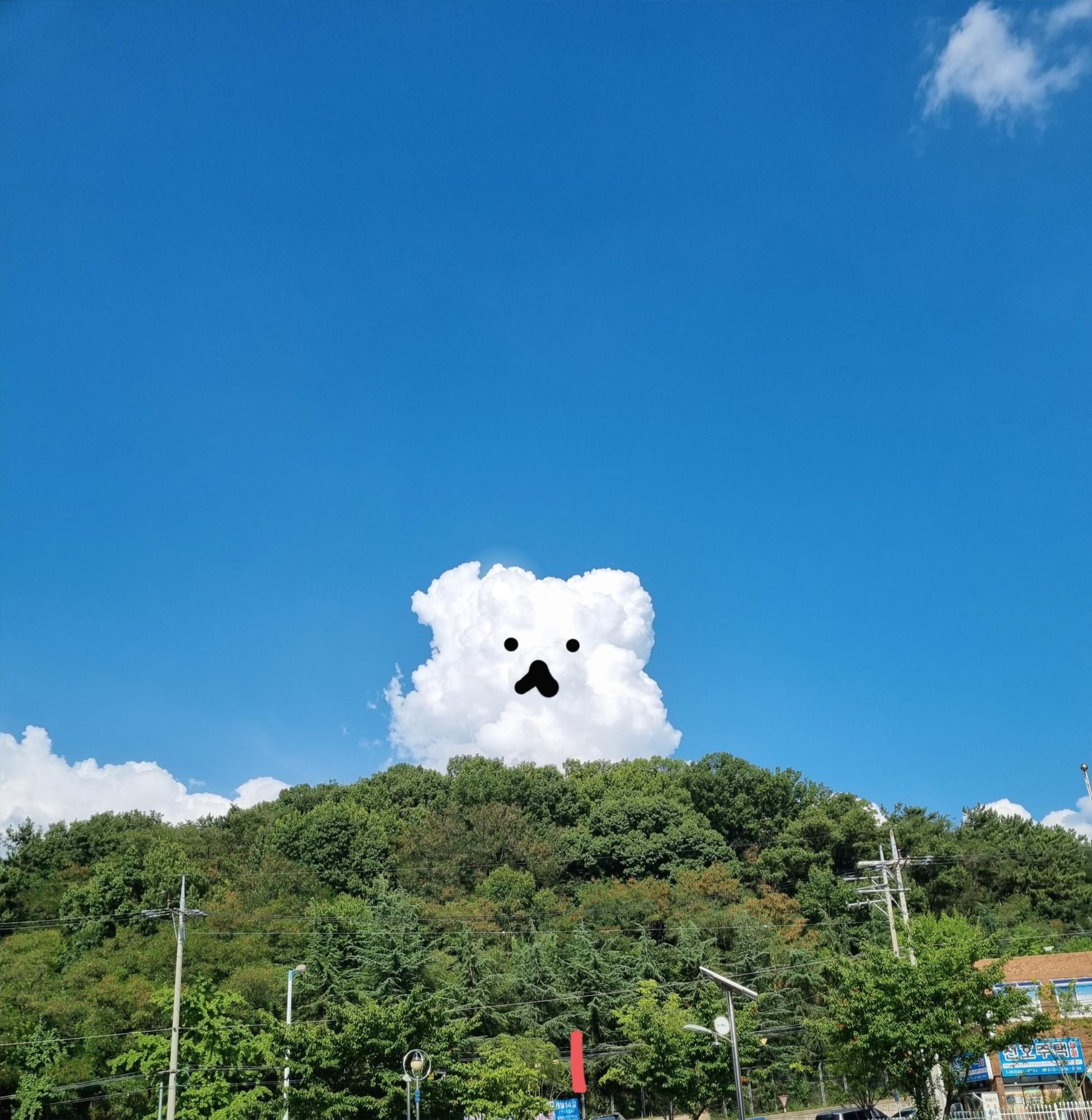 블로그 이미지