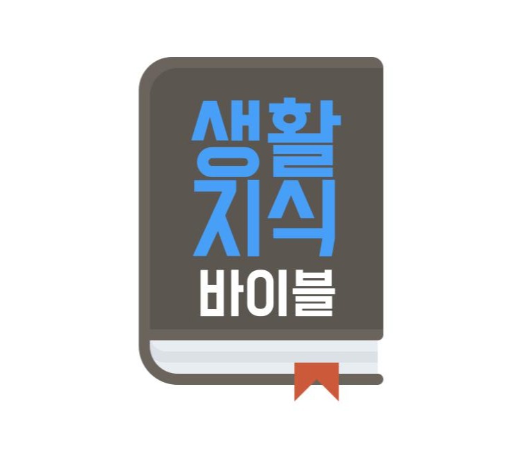 프로필사진