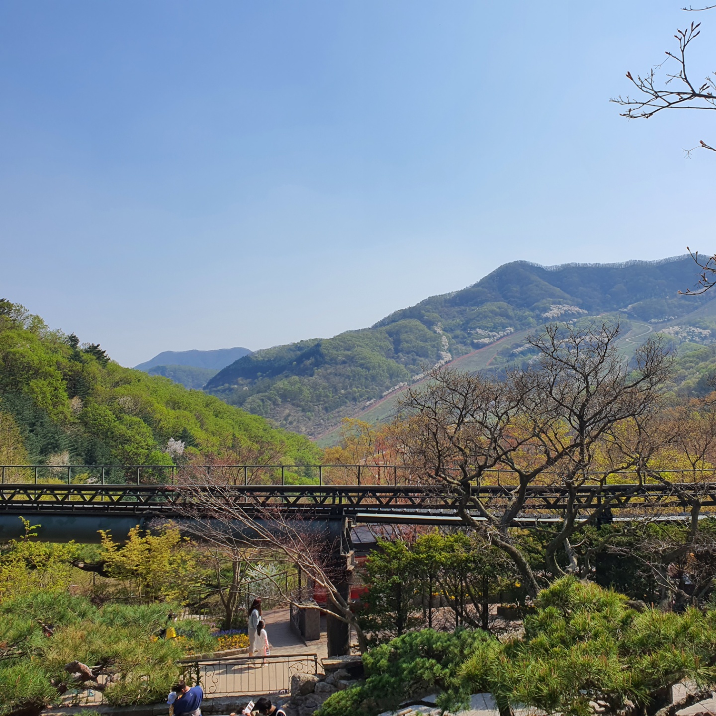 블로그 이미지