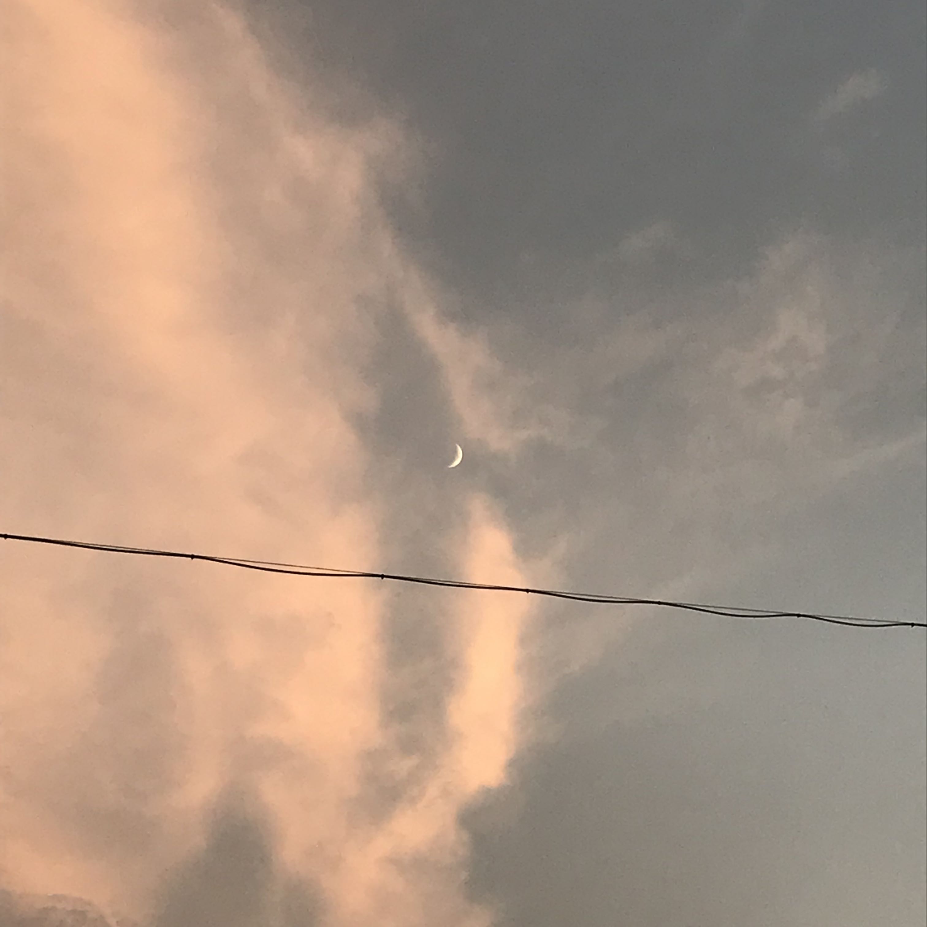 프로필 로고