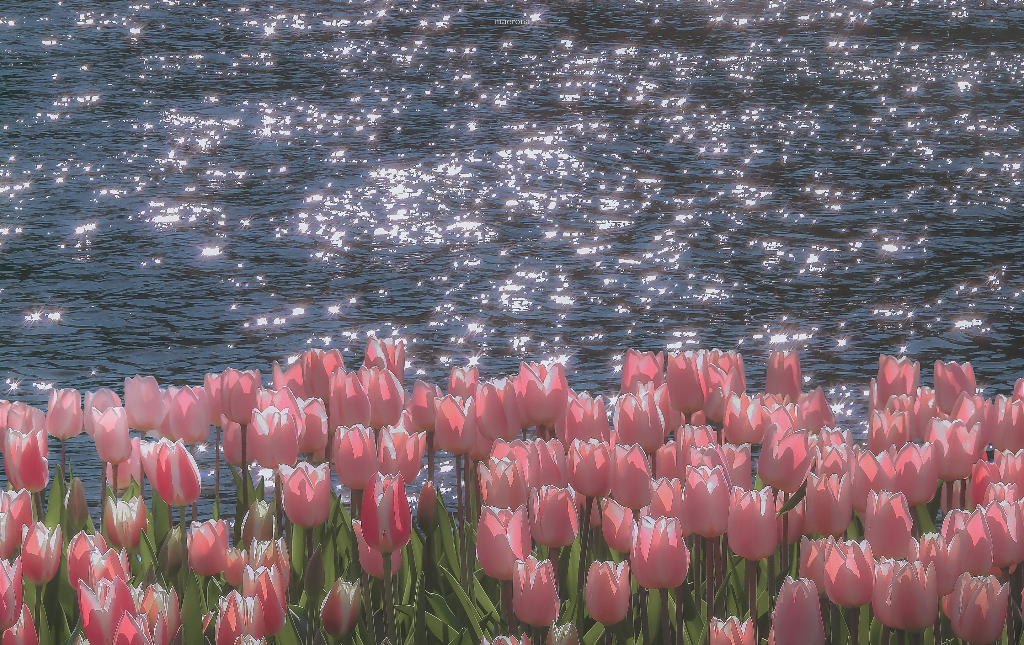 프로필 배경
