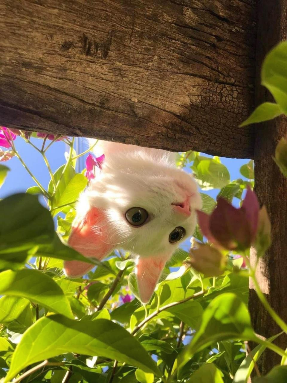 프로필사진