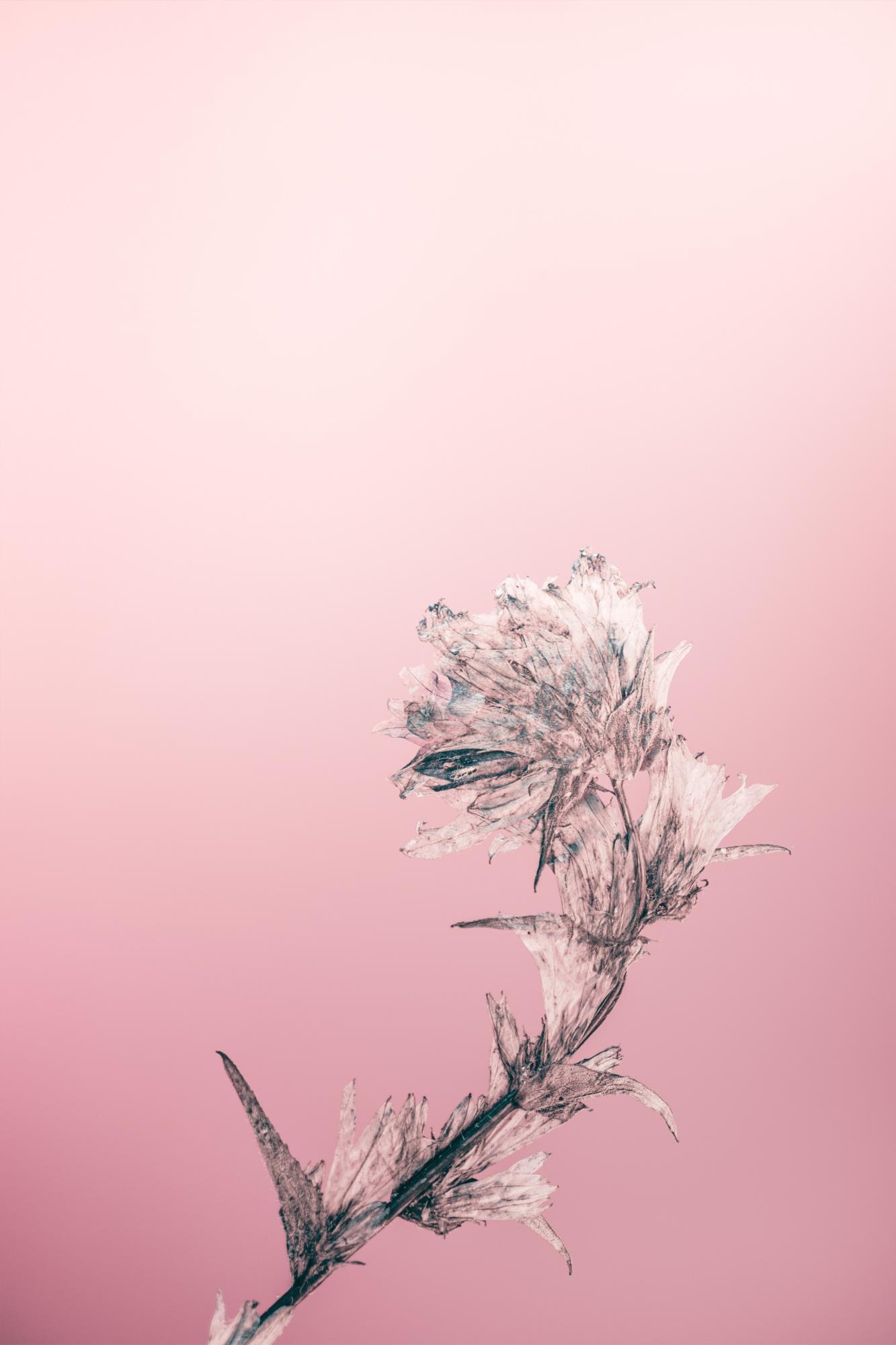 프로필사진