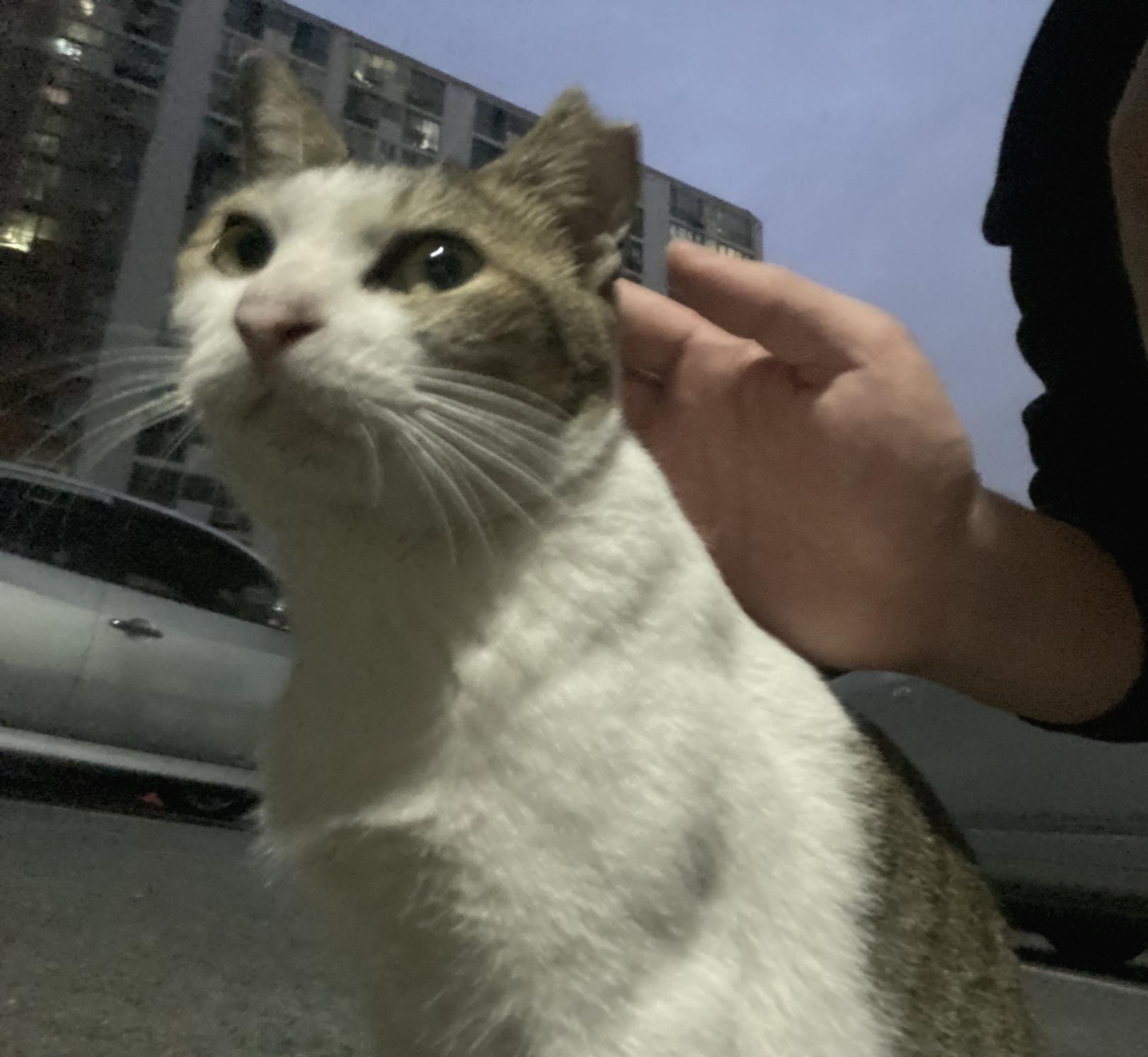 블로그 이미지