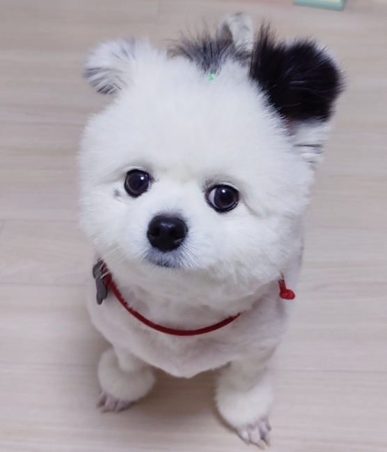 블로그 이미지