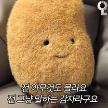 프로필사진