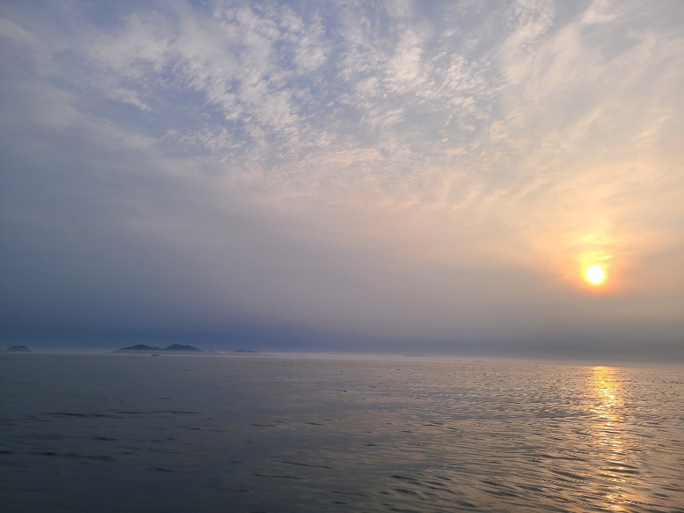 프로필사진