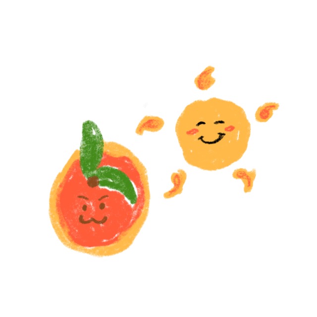 프로필사진