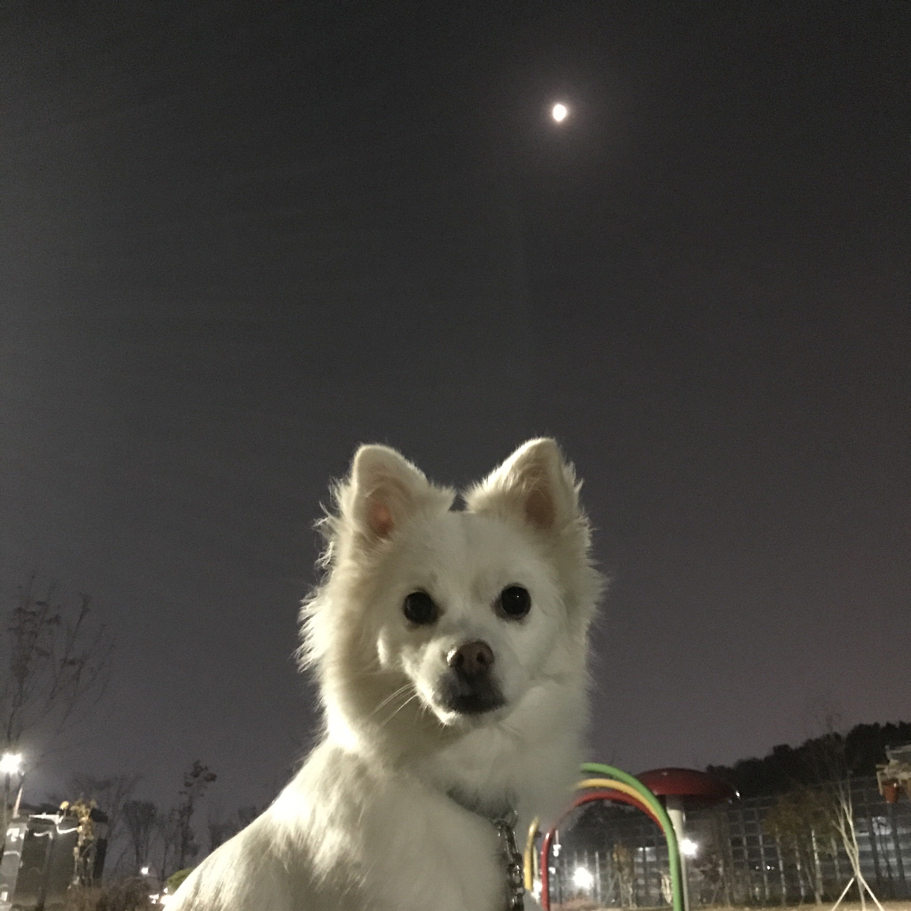 프로필사진