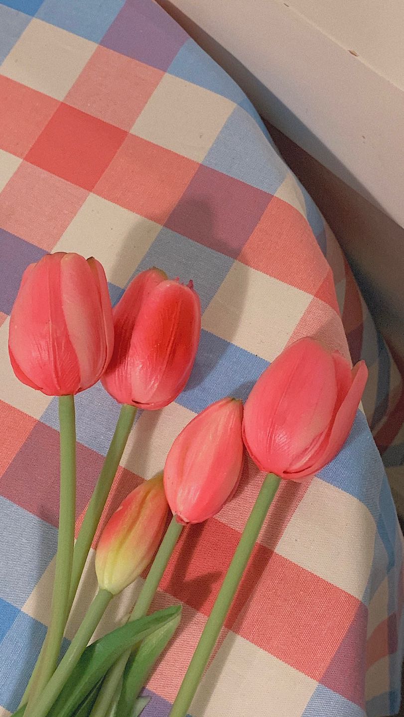 프로필사진