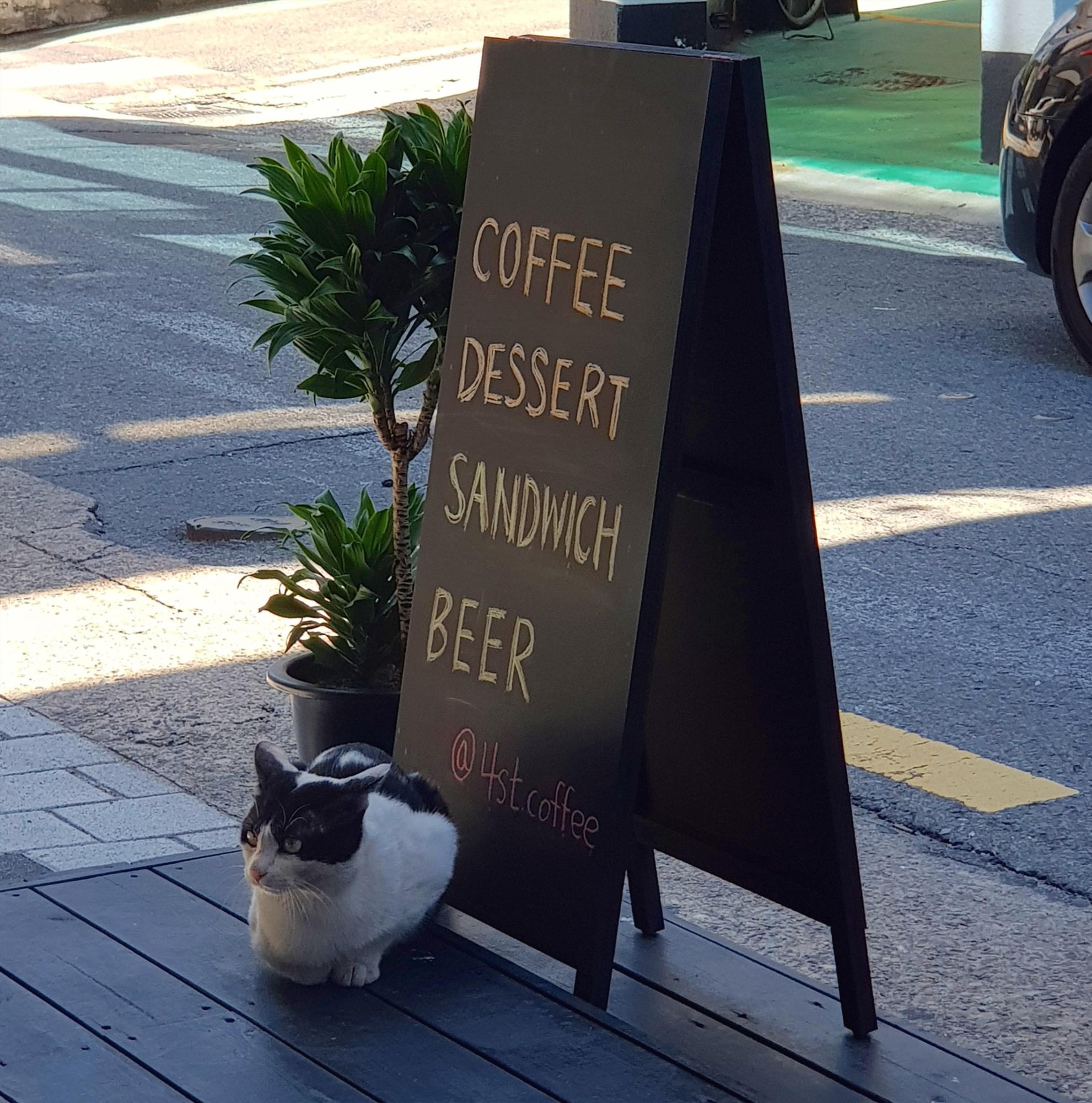 프로필사진