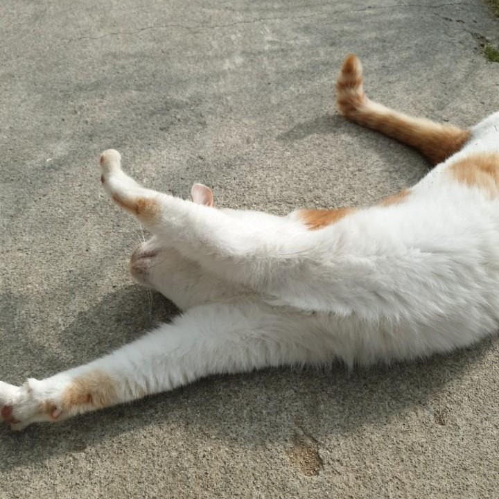 블로그 이미지