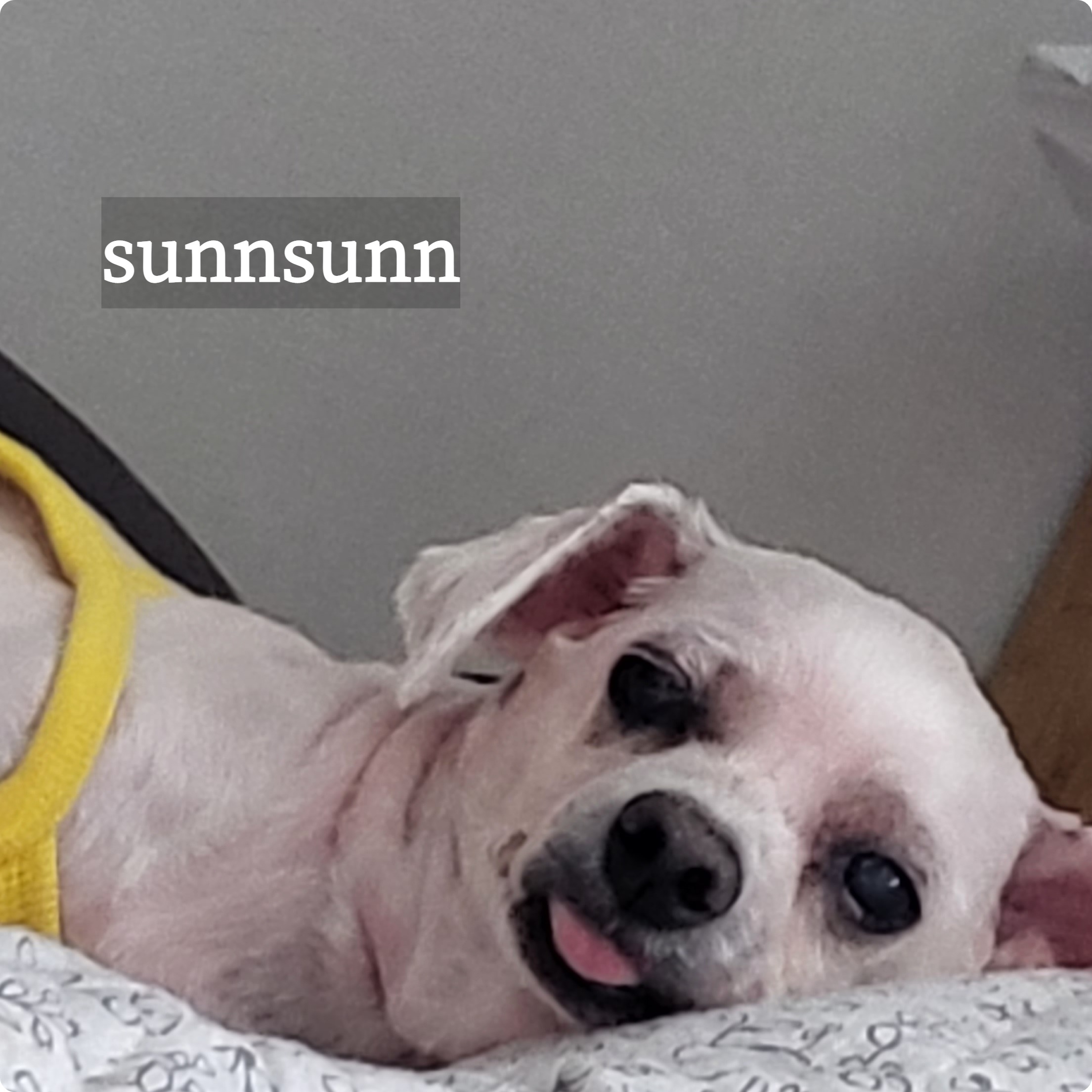 프로필사진