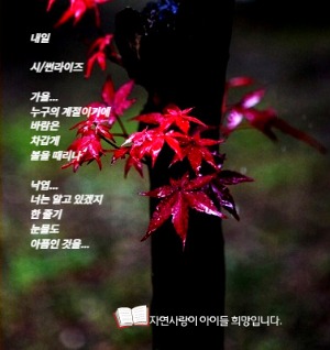 프로필사진