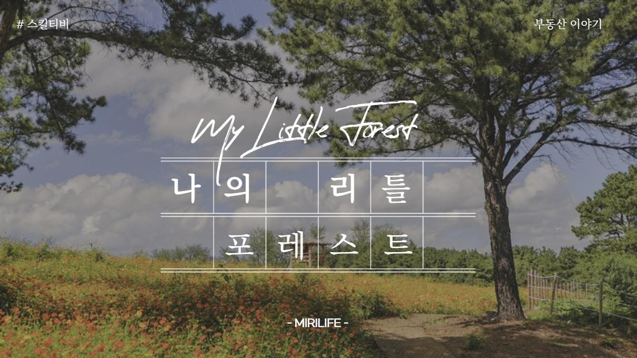 블로그 이미지