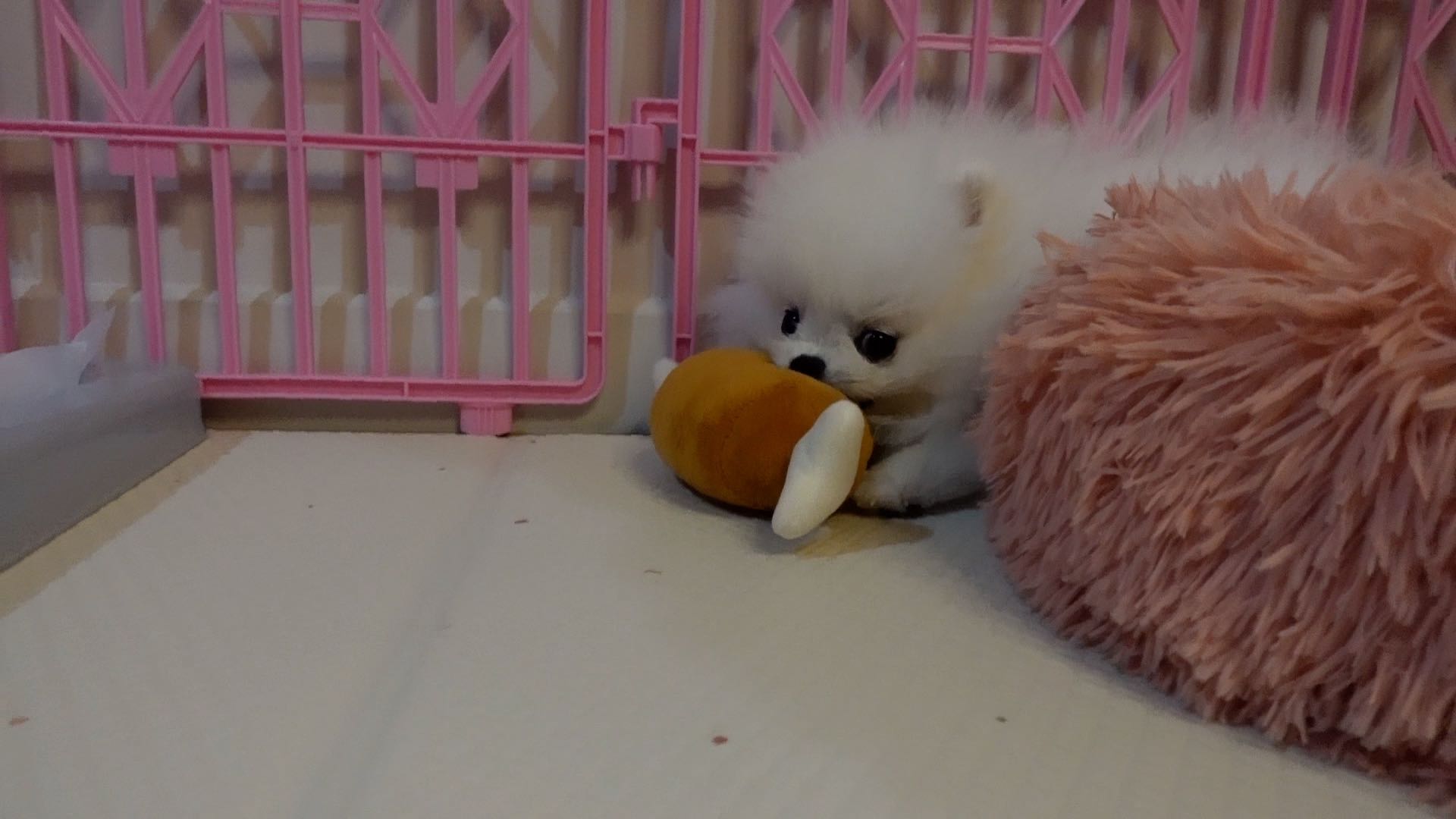 프로필사진