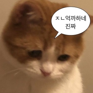 프로필사진