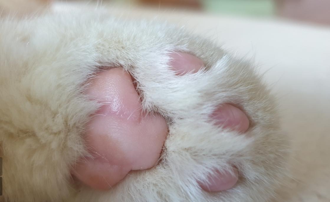 프로필사진