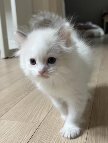 프로필사진