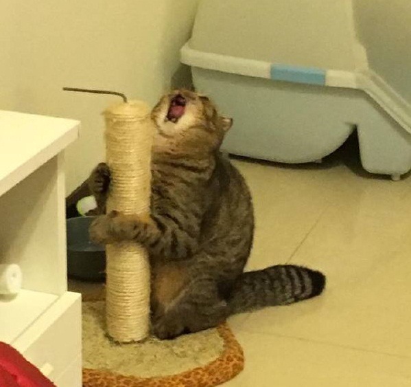 프로필사진