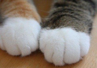 프로필사진