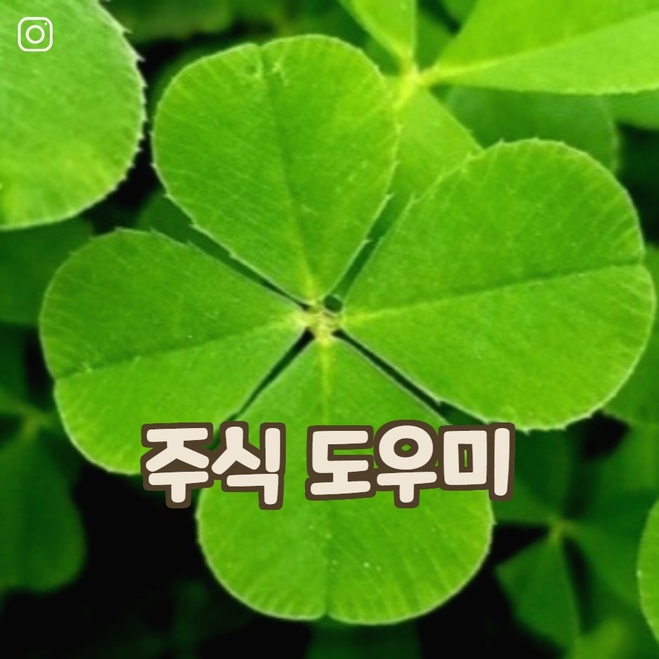 블로그 이미지