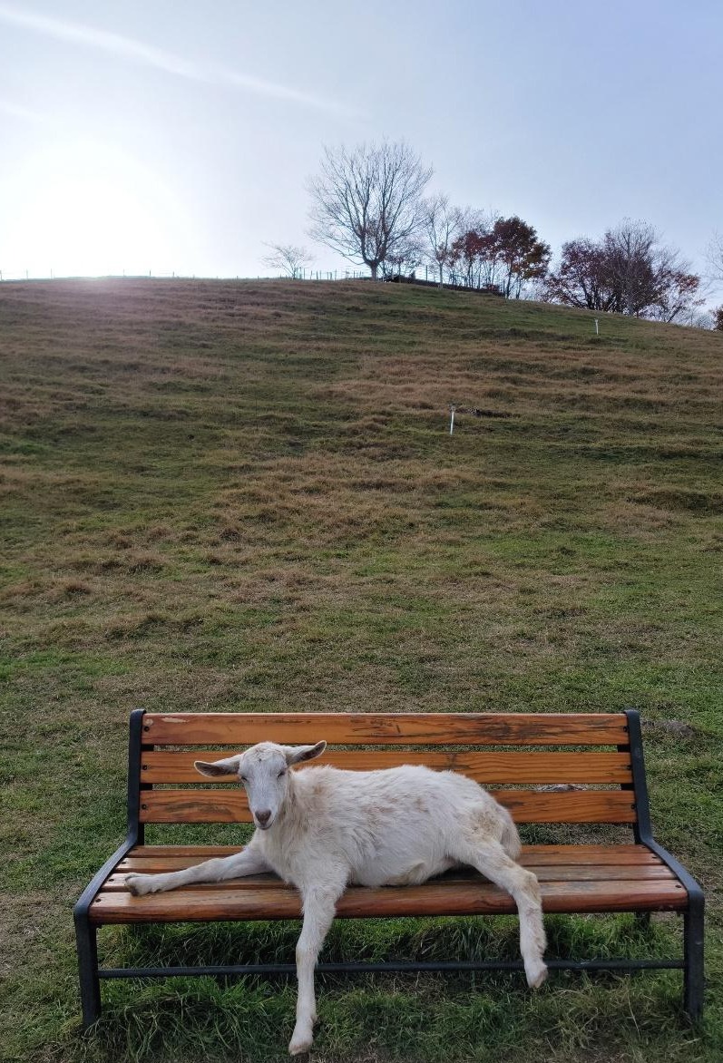 프로필사진
