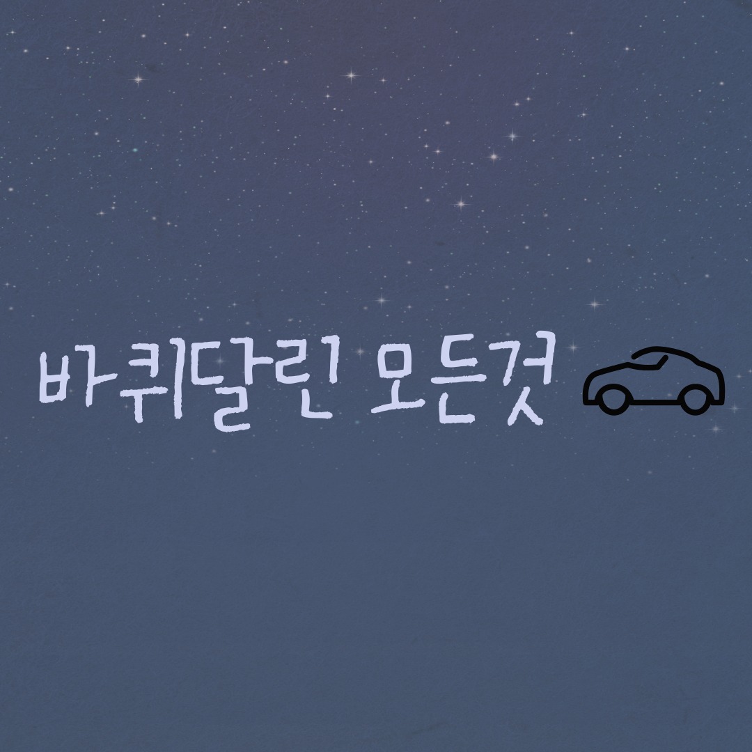 프로필사진