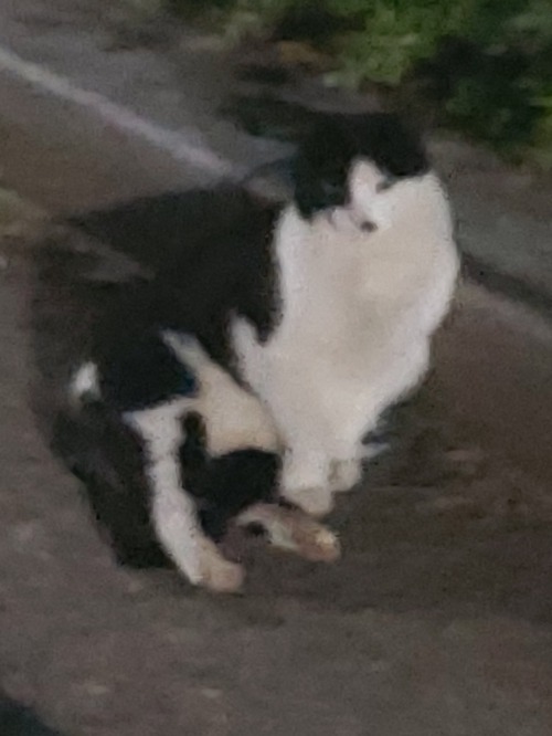 프로필사진