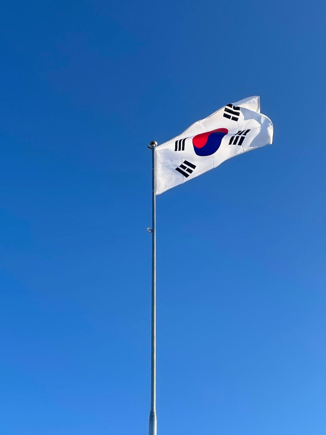 프로필사진