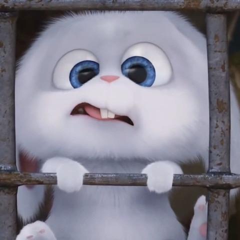 프로필사진