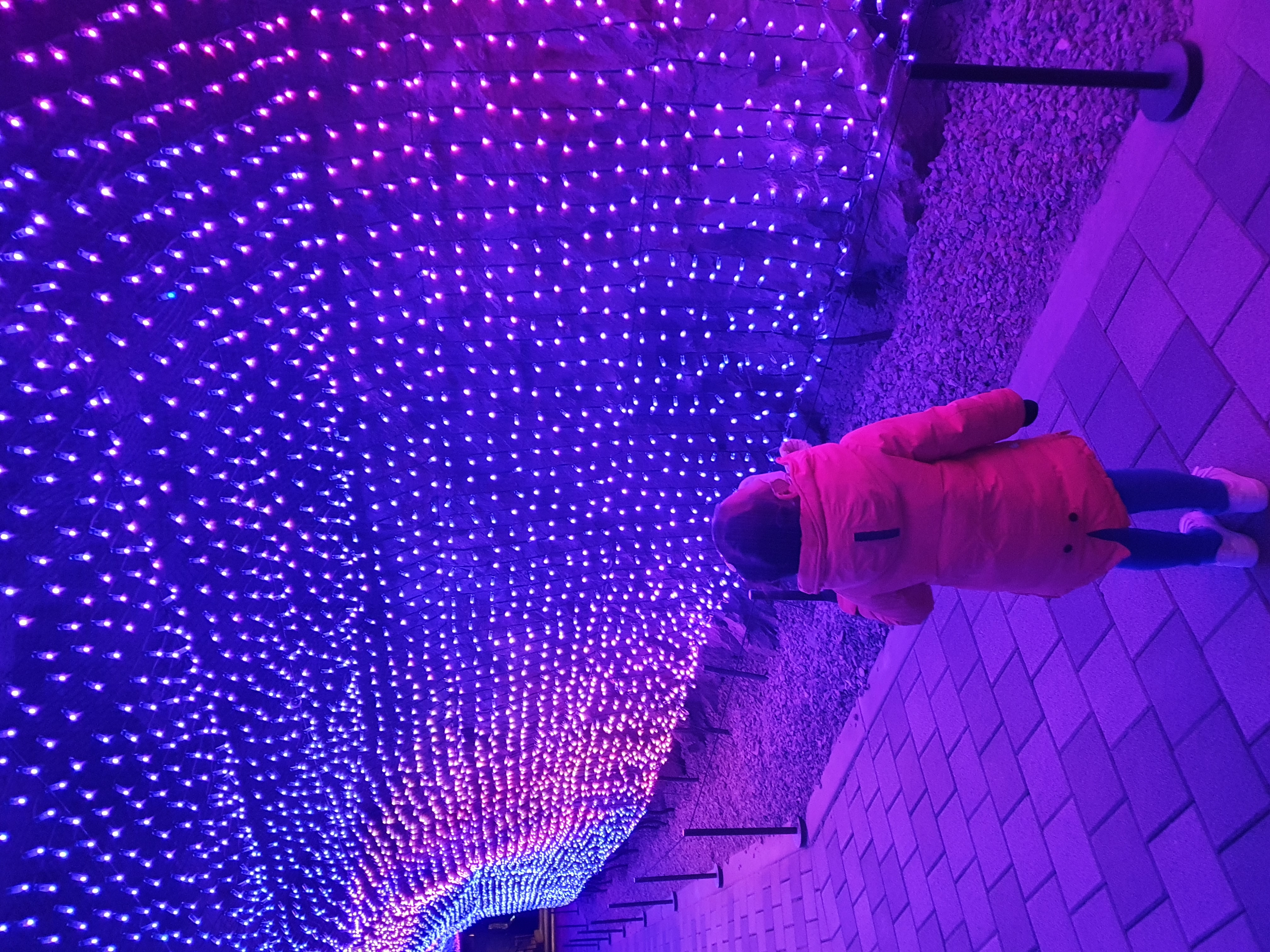 프로필사진