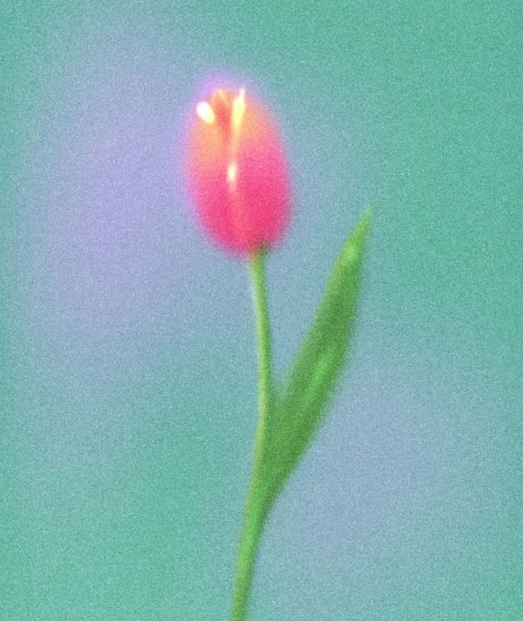코딩하세현