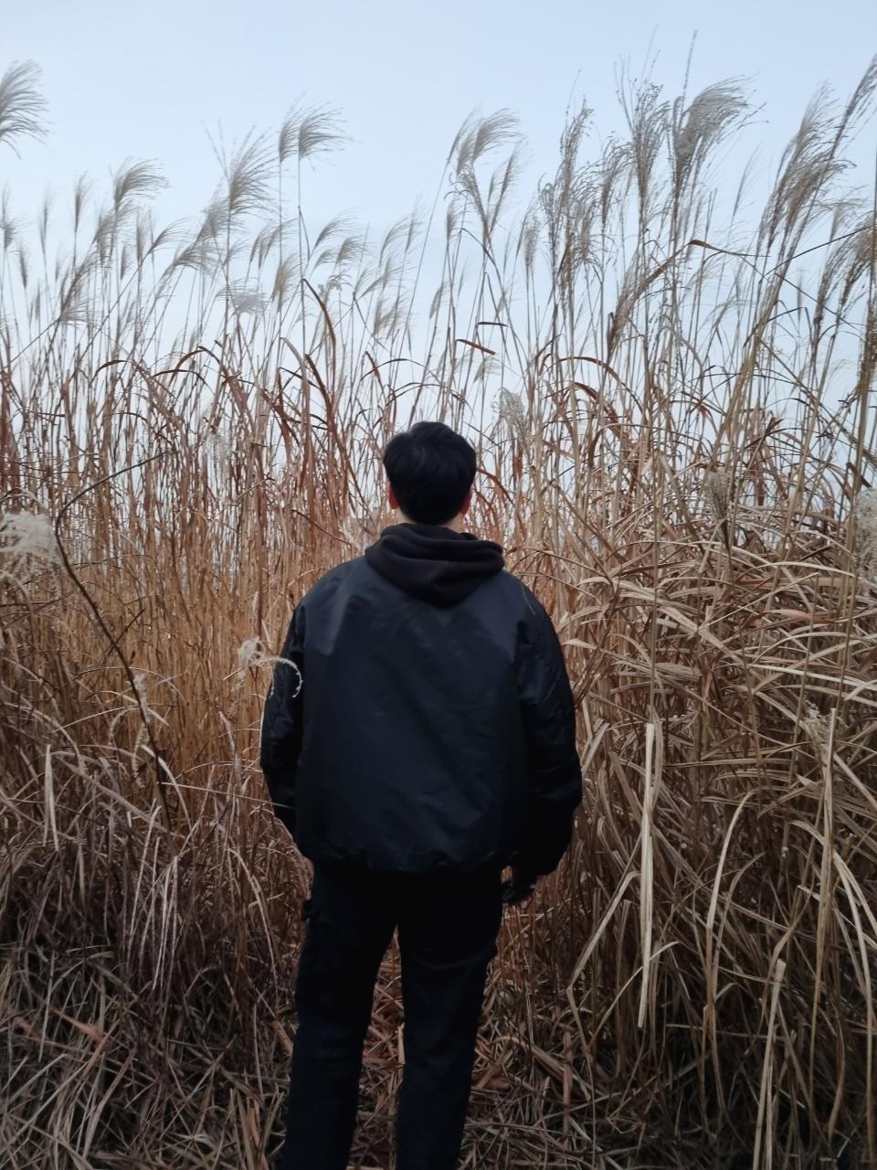 프로필사진