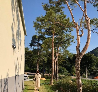 블로그 이미지