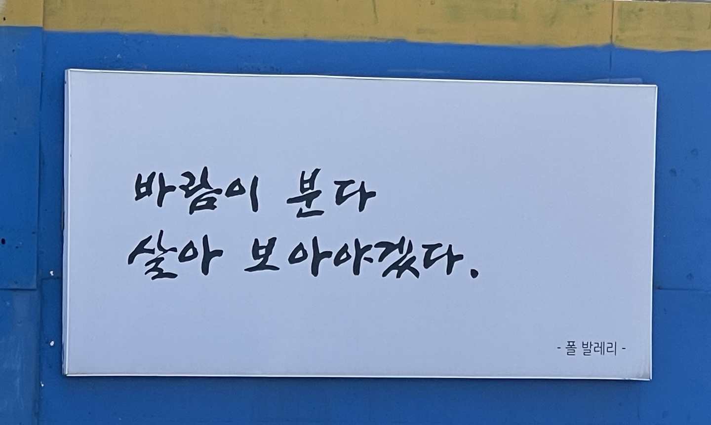프로필사진