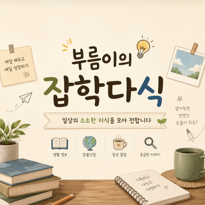 프로필사진