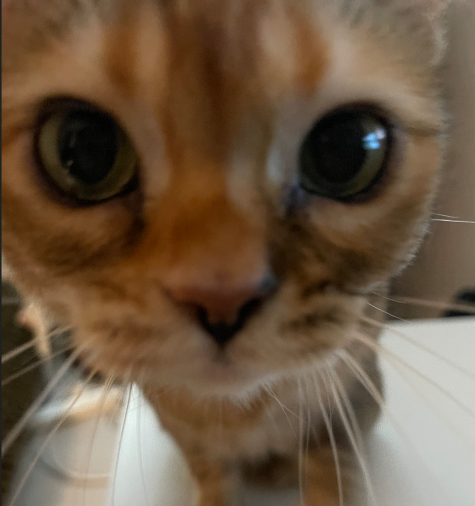 프로필사진