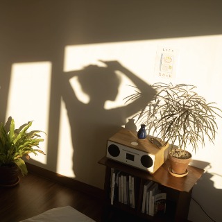 프로필사진