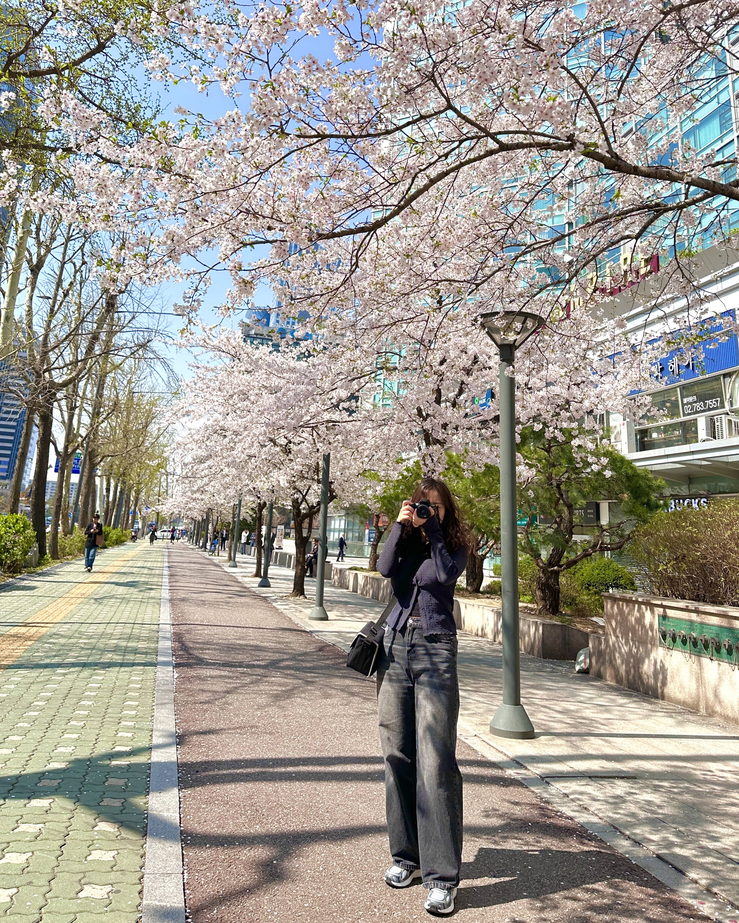 프로필사진