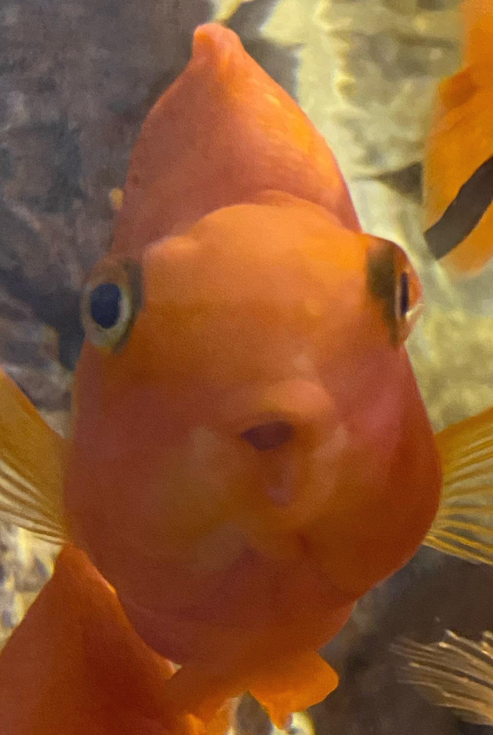 프로필사진