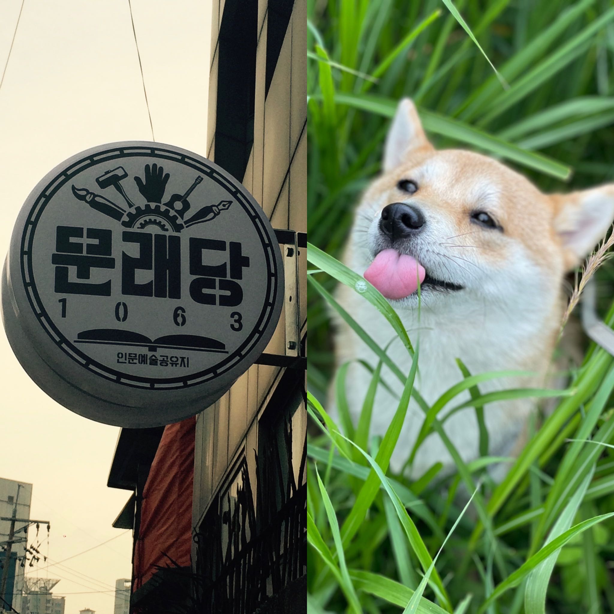프로필사진
