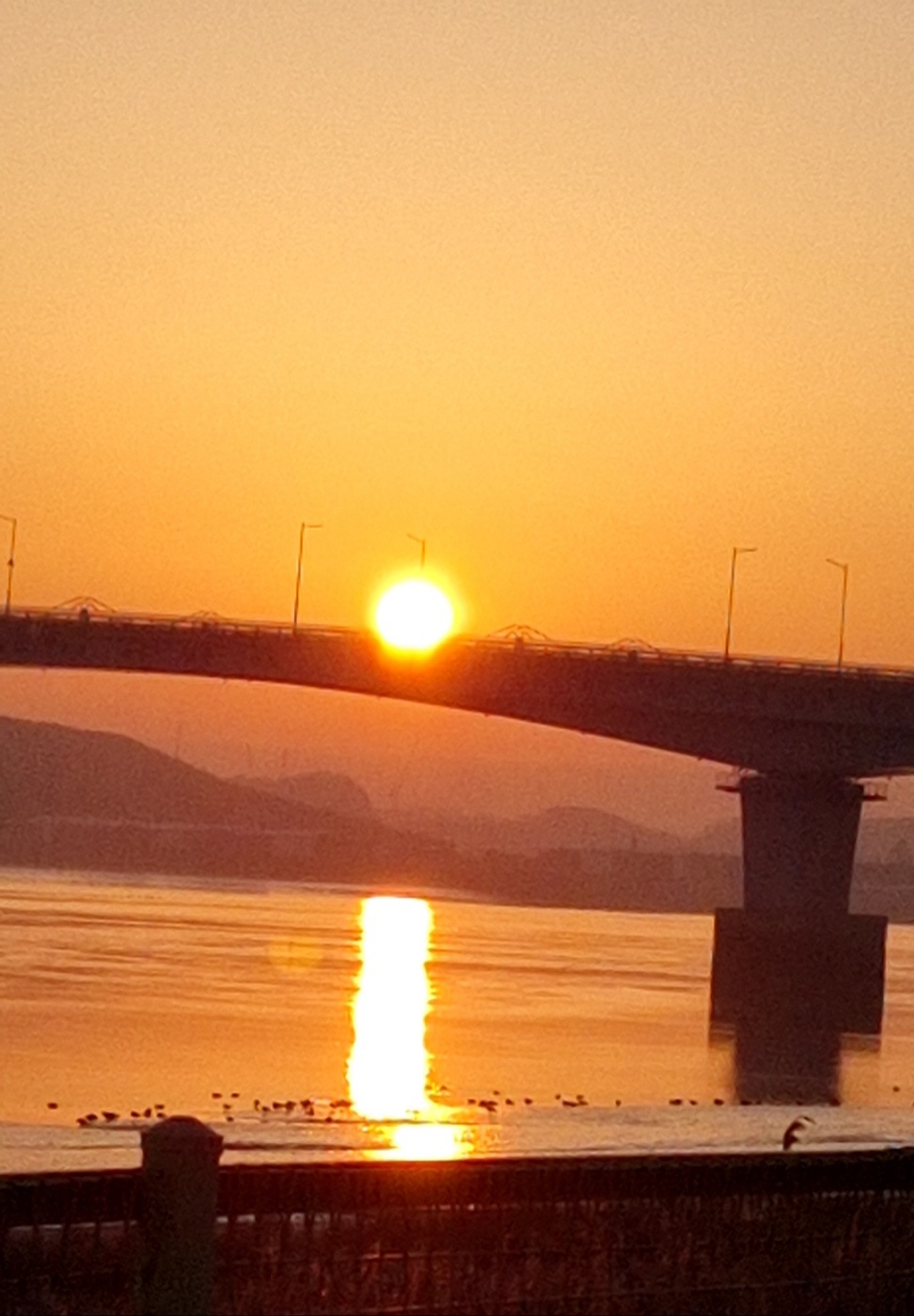 프로필 로고