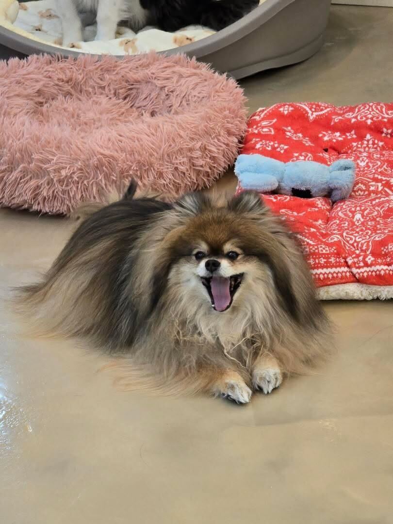 프로필사진
