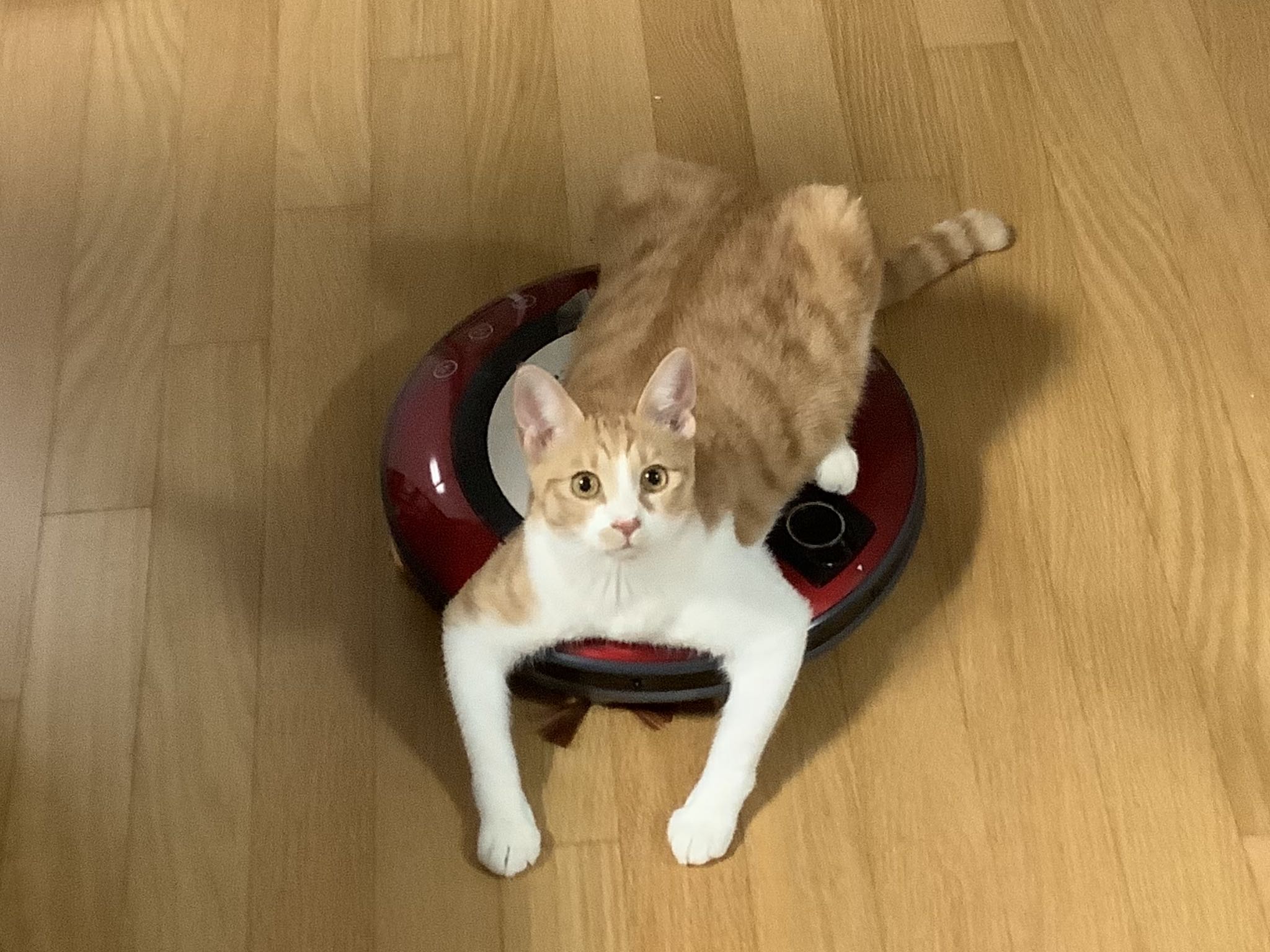 블로그 이미지