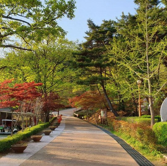 블로그 이미지
