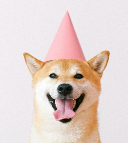 Tistory profile picture for @dieter