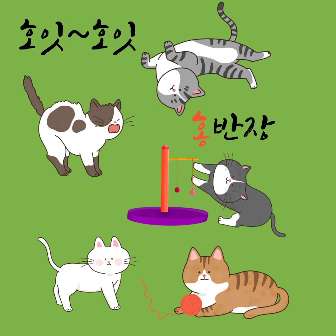 프로필사진