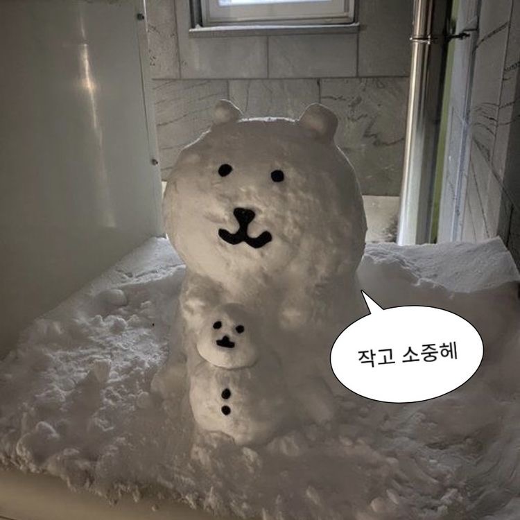 프로필사진